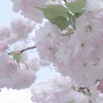 永修FurryQQ群